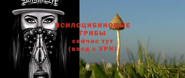 альфа пвп Надым