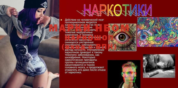альфа пвп Надым
